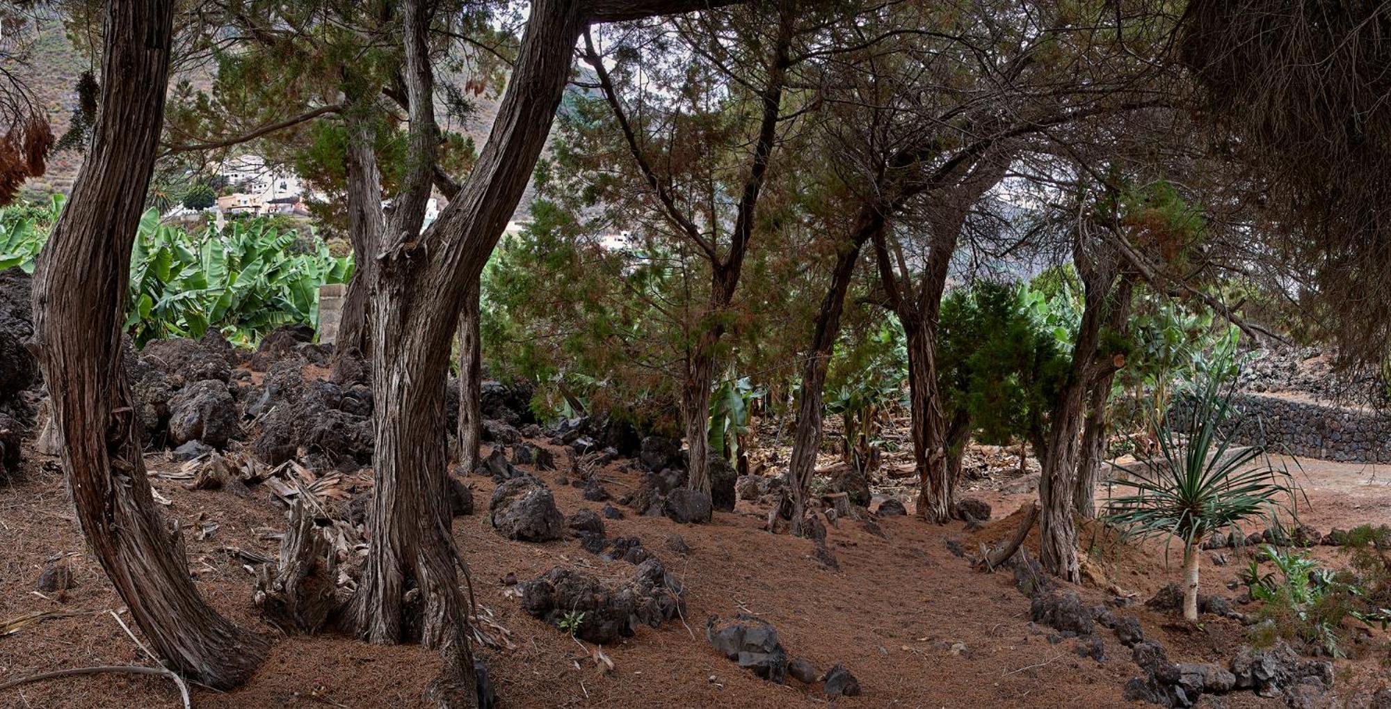 גרצ'יקו Las Sabinas Villa - El Guincho, Garachico מראה חיצוני תמונה